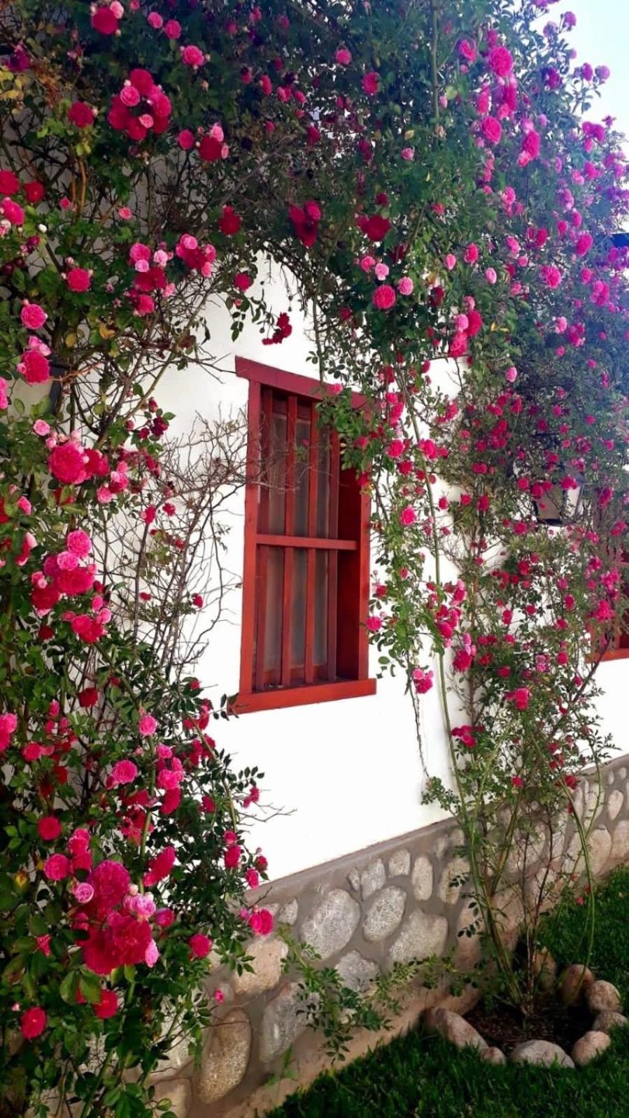Balcones De San Carlos - Casa Balcones كفايات المظهر الخارجي الصورة